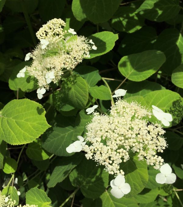 rblog-20180605130157-08.jpg