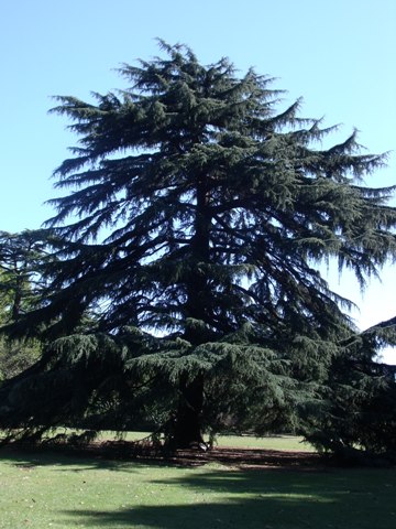 DSCF2892.JPG