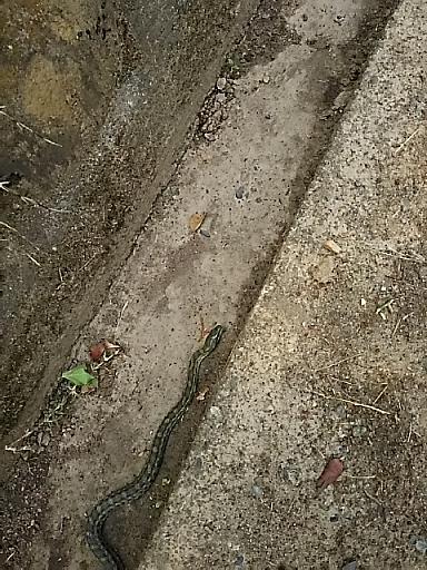 DSC_0190.JPG