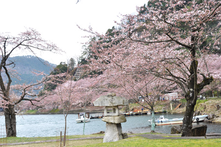 海津大崎１