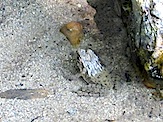 IMG_2879.JPG