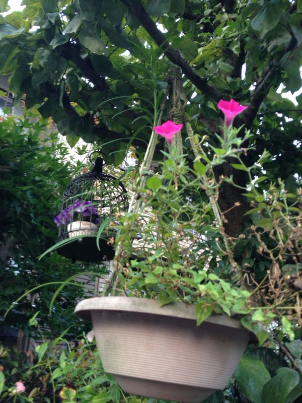 rblog-20140721212629-03.jpg