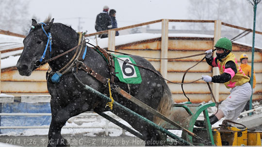 20140126Ob1R3yo_C-1_05