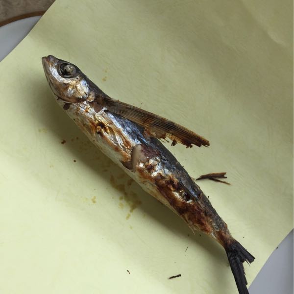 rblog-20170607003417-04.jpg