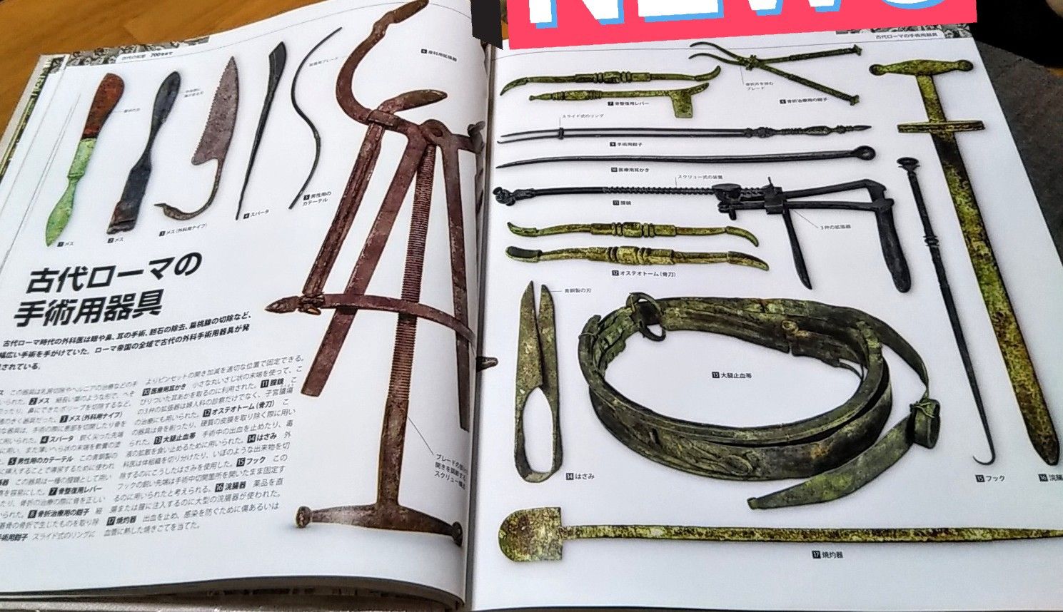 医学の歴史 大図鑑 医学の歴史 大図鑑 :スティーヴ・パーカー,酒井 シヅ | 河出書房新社