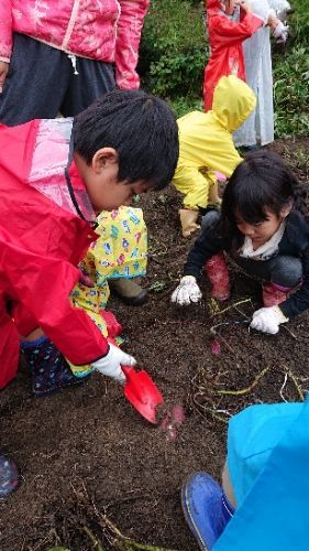 rblog-20181016214121-01.jpg