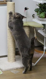 5DA_7529-17.jpg