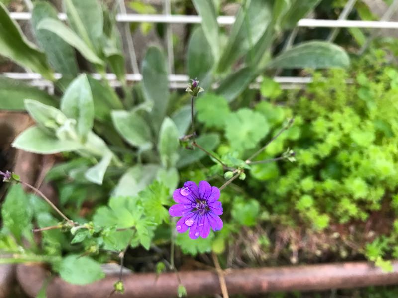 rblog-20180429182251-05.jpg