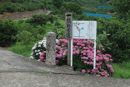 DSC_0931.jpg