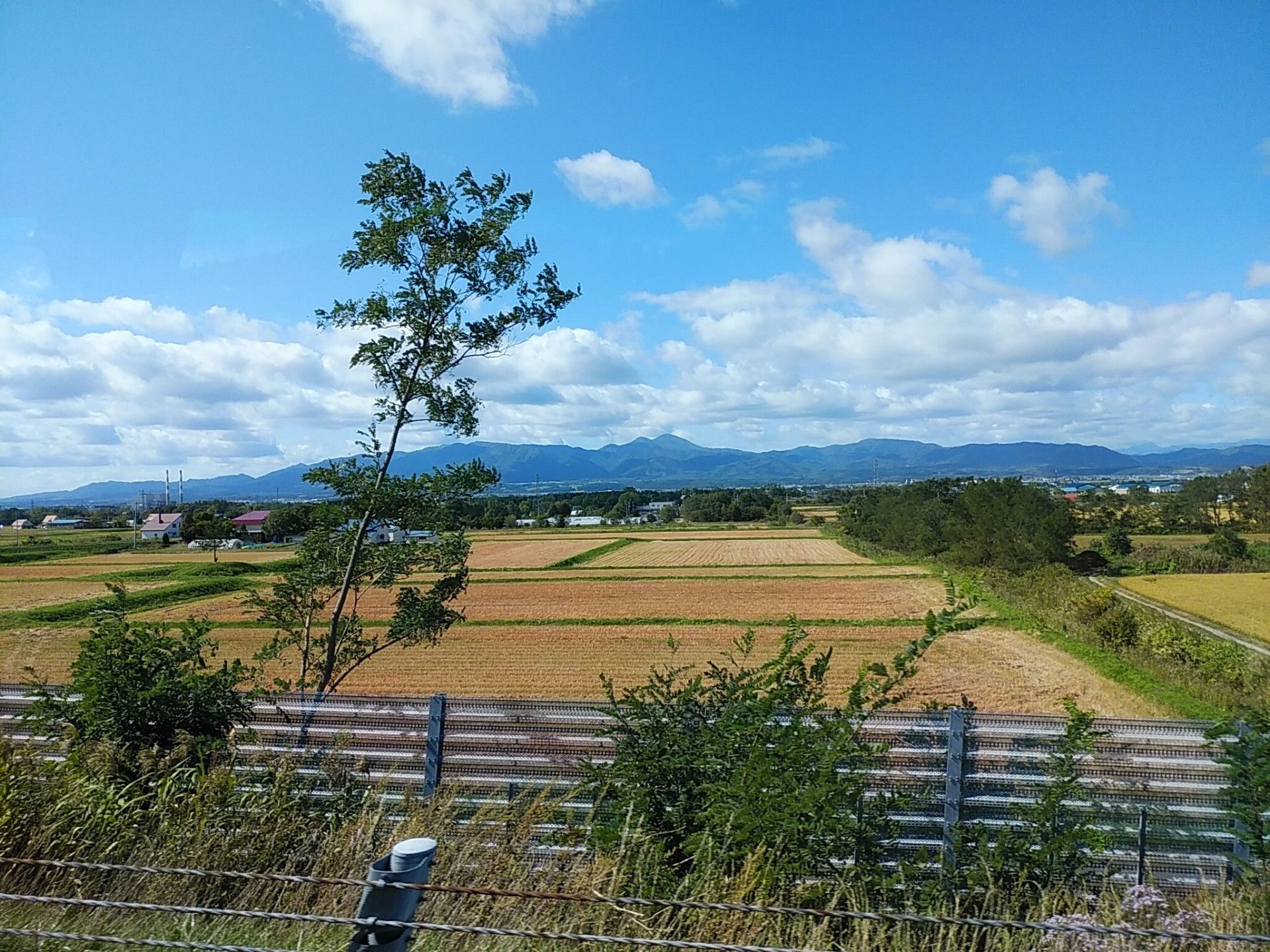 登山とウオーキング の記事一覧 こた こたやんの寺子屋日記 楽天ブログ