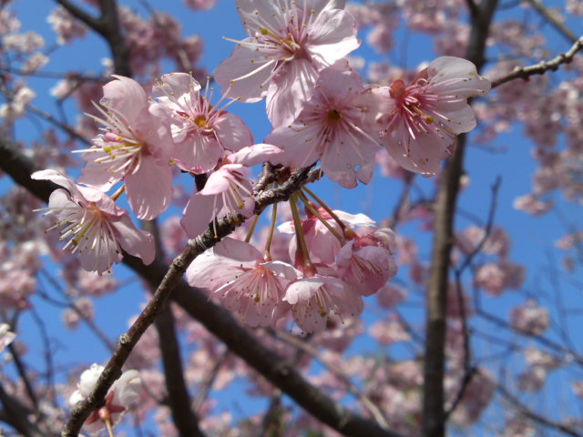 2012-03-30 17:48:37