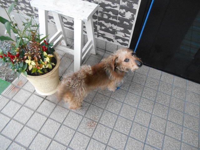 DSCN0889.JPG