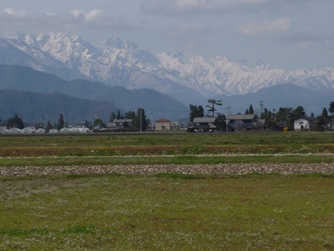 P1330172.jpg