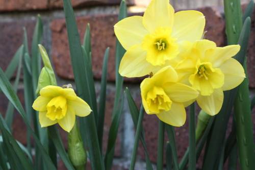 2015033102.JPG