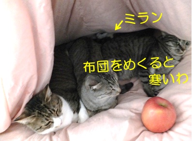 20121127_9.jpg