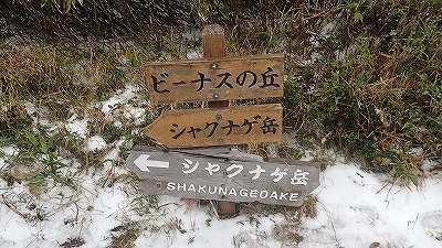 PA221572　12：27歩いた方角ばかりの.jpg