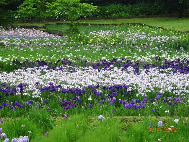 DSC04114_R.JPG