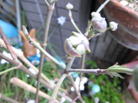 IMG_1848.JPG