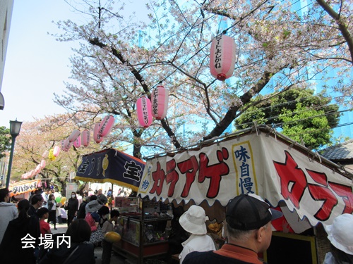 馬込文士村大桜まつり