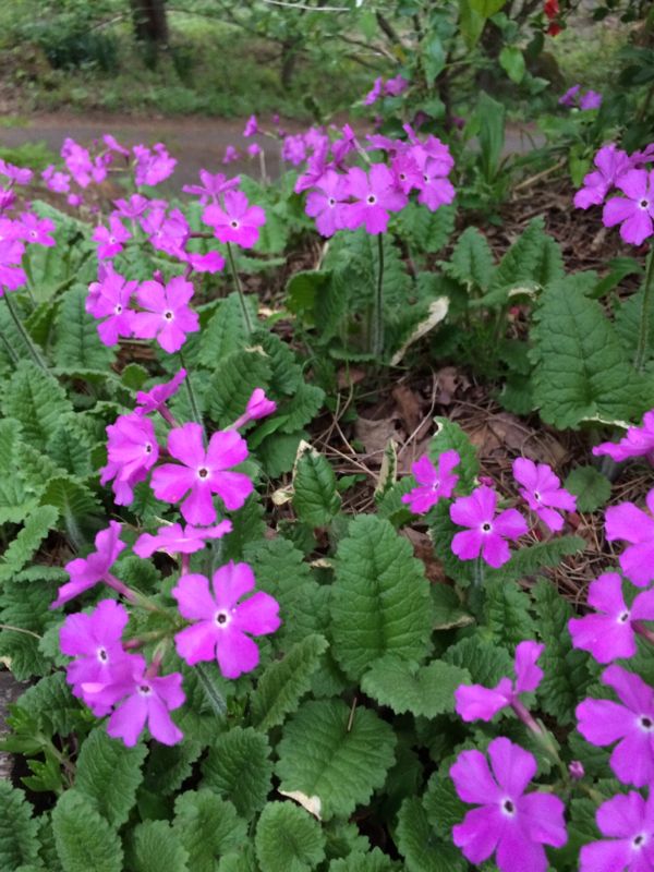 rblog-20140528164326-01.jpg
