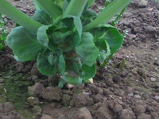 2012031015450000.jpg