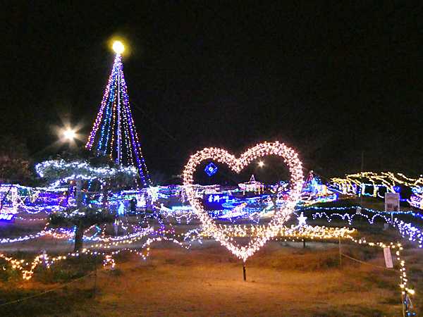 青淵公園と深谷駅前イルミネーション2025 | 見栄子の熊谷らいふ