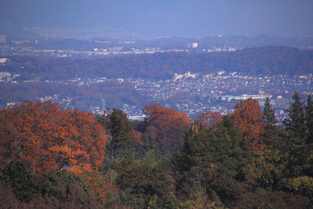 3,228－初冬の高安山・信貴山その5 Huちゃん 写真日記 楽天ブログ