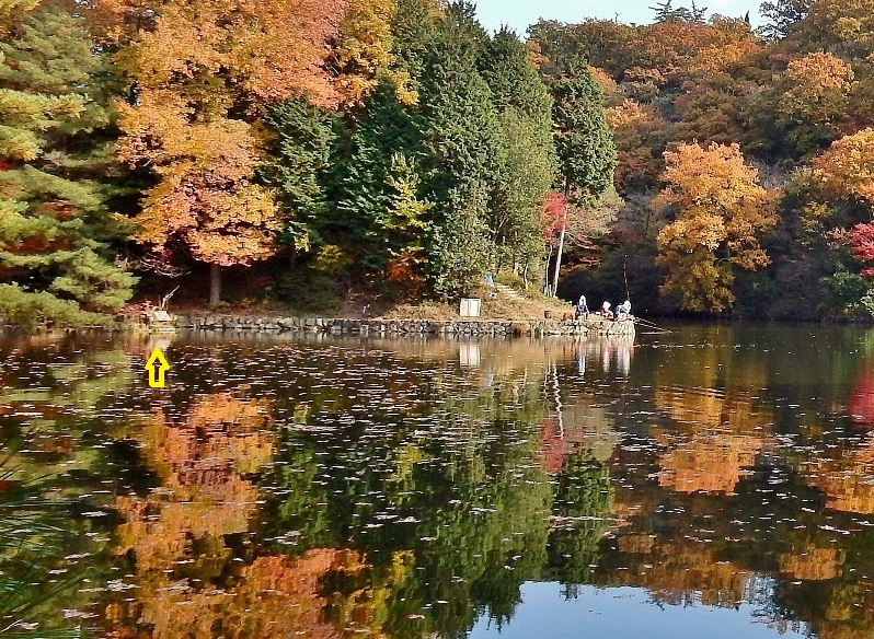 鳥小屋2.JPG