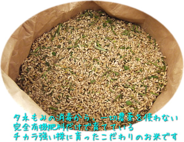 完全無農薬米　有機肥料米　信楽高原自然米（じねんまい）