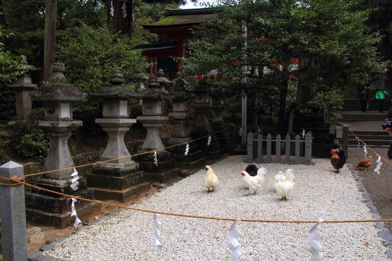 石上神宮_006.jpg
