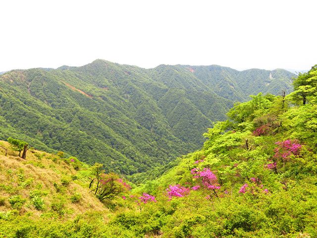 丹沢登山（3）丹沢山山頂→蛭ヶ岳山頂 | 星とカワセミ好きのブログ - 楽天ブログ