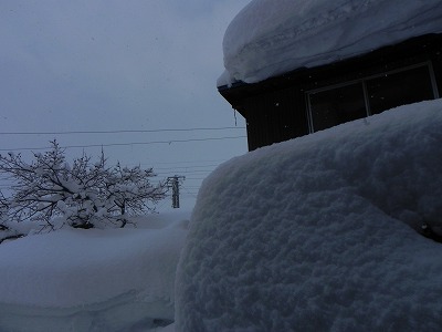 DSCN4316.jpg