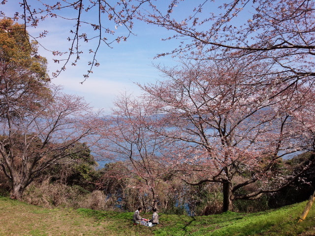 IMG_20150329_122009.jpg