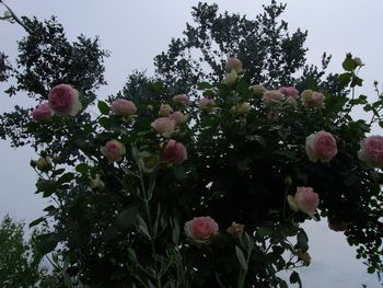 123.JPG