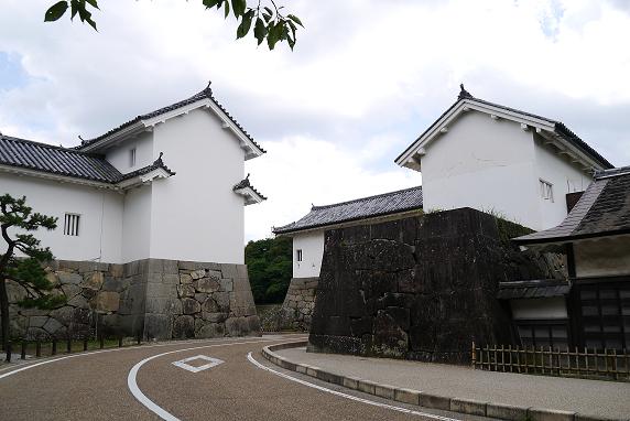 P1000718.JPG