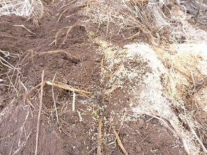 P1000144.JPG