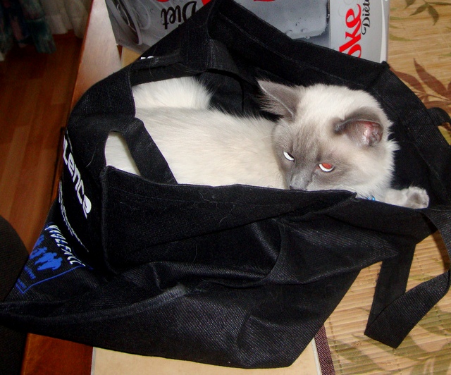 0831Misty me too01.jpg