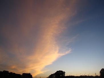 IMG_9454.JPG