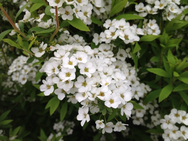 rblog-20130330080928-01.jpg