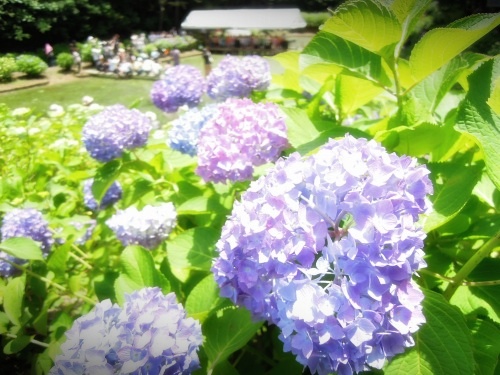 s-DSCN0845.jpg