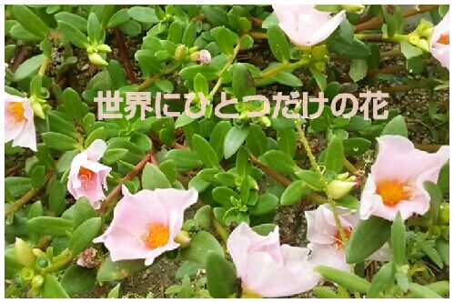 rblog-20160816190027-00.jpg