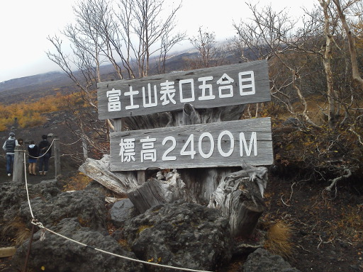 P1000355.JPG