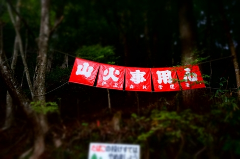 DSC01824.JPG