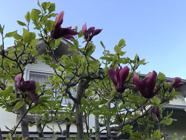 rblog-20180408180306-09.jpg