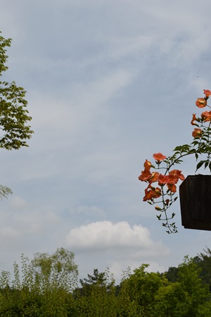 DSC_0060.JPG