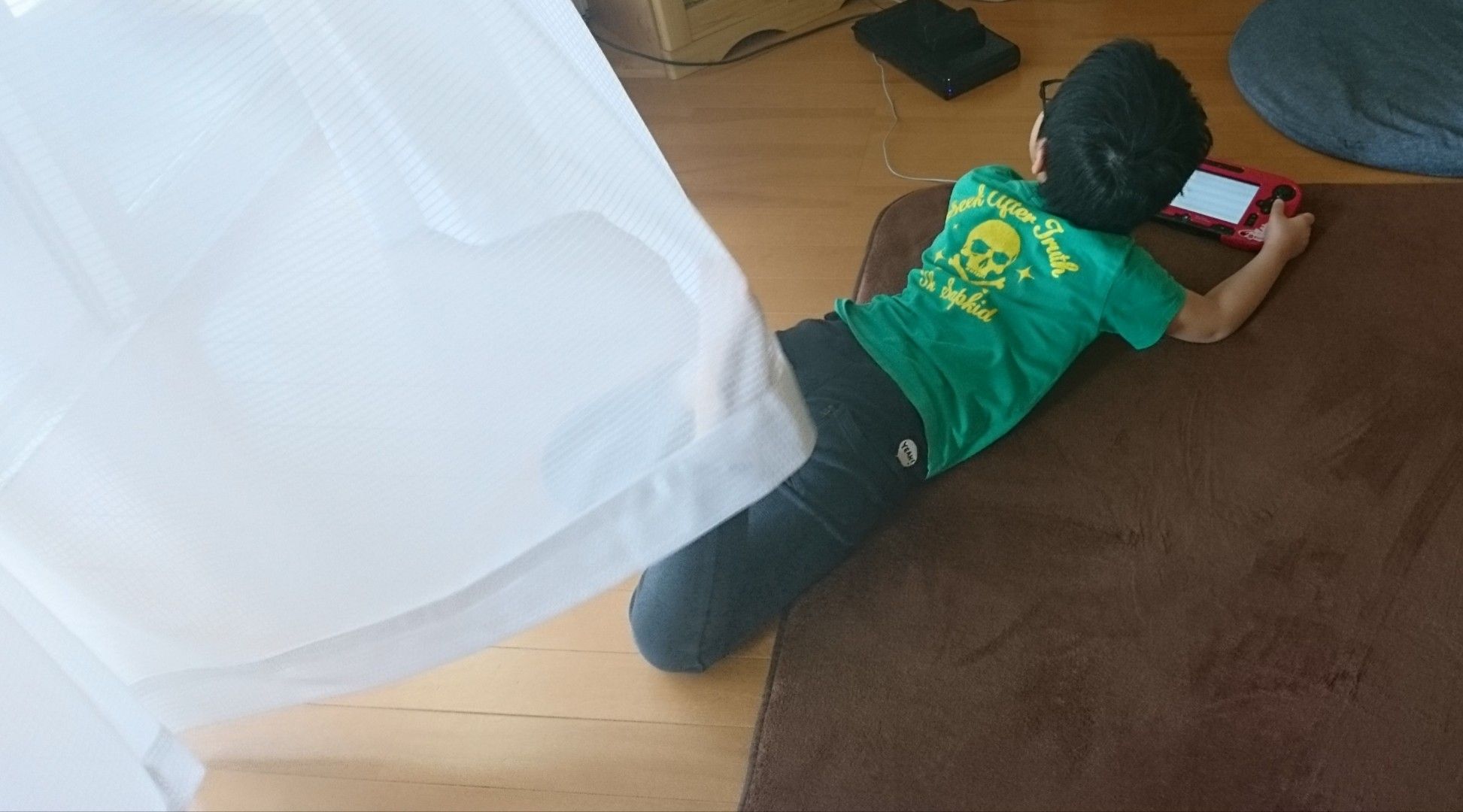 外出自粛で家がどんどんキレイになる 田舎暮らしのミニマリスト 楽天ブログ