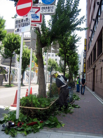 植木の剪定をする職人さん