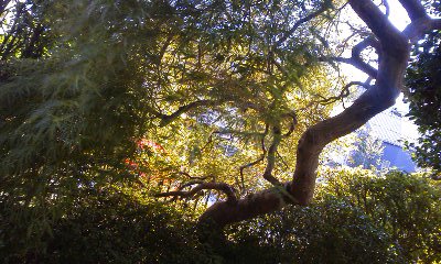 160826_1616~02.jpg