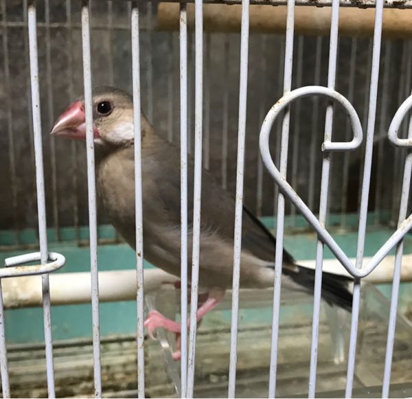 rblog-20190307115301-01.jpg