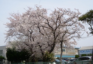 DSCN3816.JPG